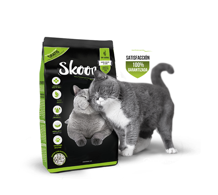 arena de gato skoon